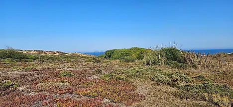 image-EIpHaAQubE-0