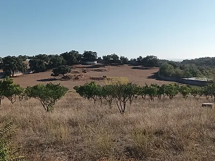 Land for sale in Vila Viçosa, Portugal — €375,000