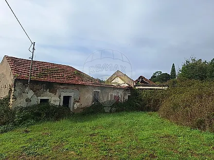 image-Dkl33ctVERH-0