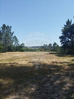 image-LeA9eu7wNFA-0