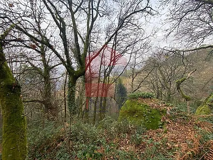 image-2RwwlpZjz4F-0