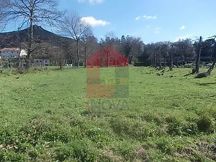 image-4NmNau4DjzD-0