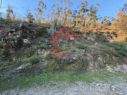 image-5scFwRFcusa-0