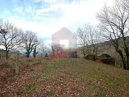 image-5yV6rL3sCnq-0