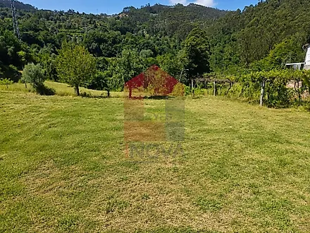 image-687q5ZWXjje-0