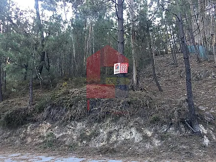 image-6qf5mhkoZLR-0