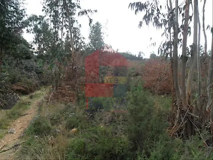 image-80V1CMRDDbQ-0