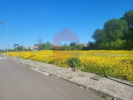 image-8S79JfMHMrH-0