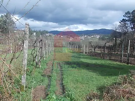 image-BUQcoOBROre-0