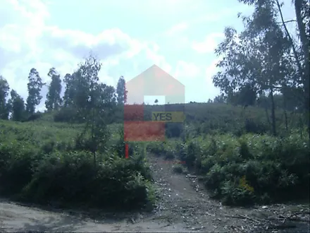 image-BmaAE0DpmIr-0