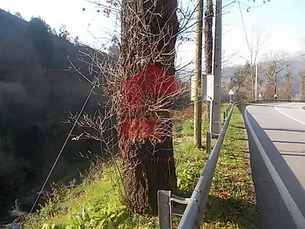 image-DtD7EsyJfdW-0