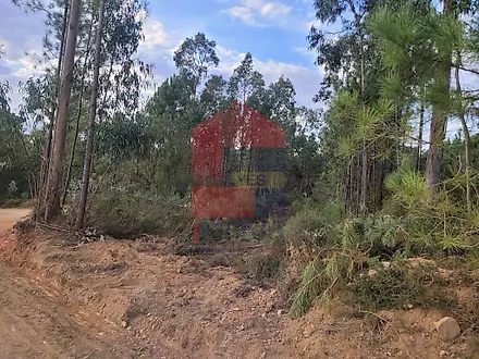 image-EFxsIsU7hcI-0