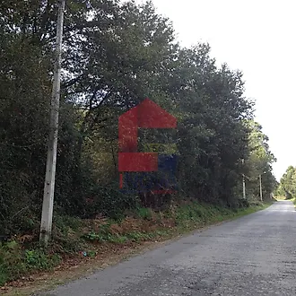 image-GGnjE9n1Zou-0