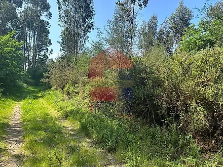 image-JKgQLj9OKpC-0