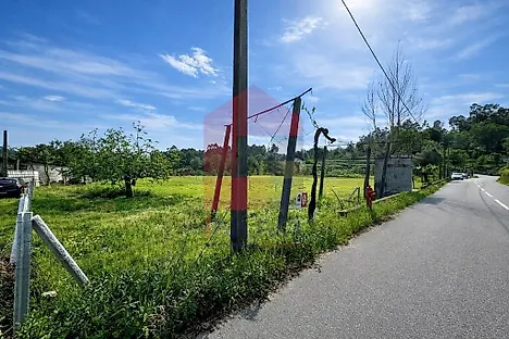 image-Jc5YIui3kqV-0