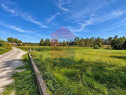 image-K77Uj1ho933-0