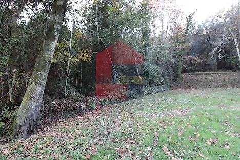 image-KRsJ15yaPkZ-0