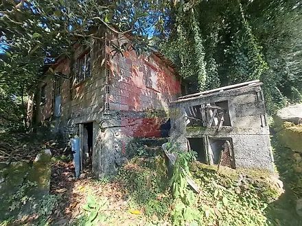 image-LZazgGr3Y5o-0