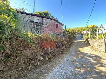image-LdTp60VNgZj-0
