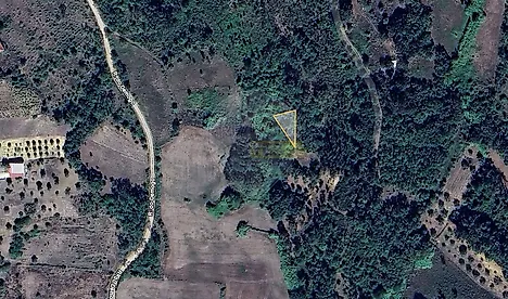 image-58ZJUkCV2s7-0