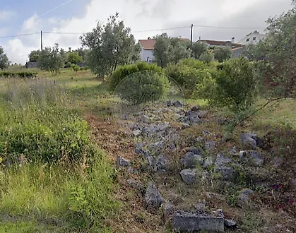 image-6NR759RLloP-0