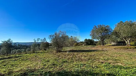 image-7rQ38OFanYZ-0