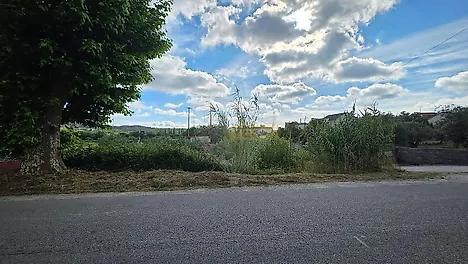 image-8YyOJcd9vVJ-0