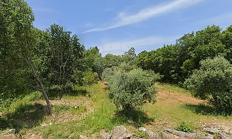 image-92hz3Bb9ai-0
