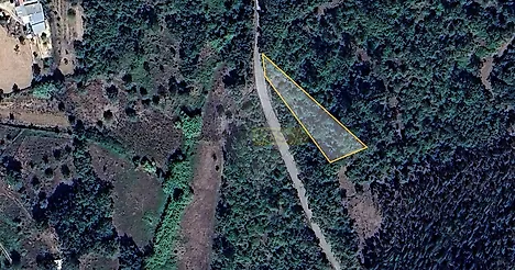 image-B2njvBE1aUg-0