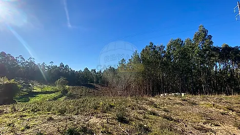 image-CLT9NJZXRNy-0