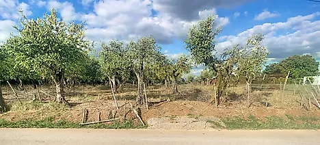 image-LWnobGAuGyh-0