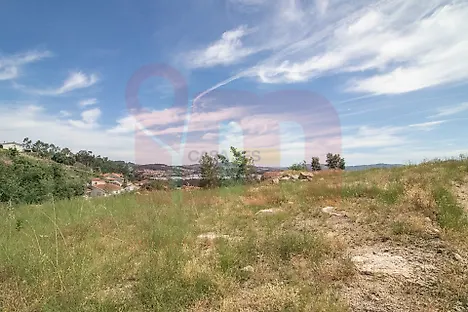 image-B5JGc06FgSd-0