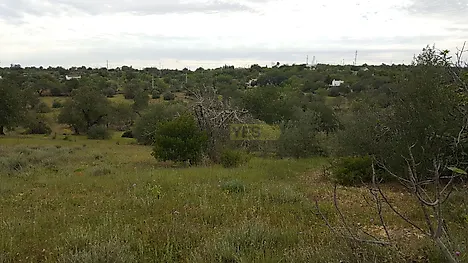 image-5f01067iWI8-0