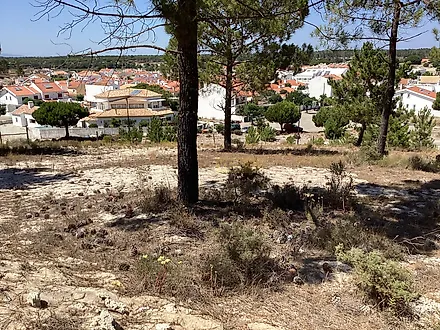 Land for sale in Grândola, Portugal — €820,000