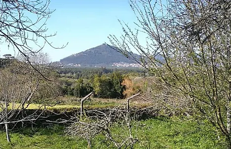 Land for sale in Caminha, Portugal — €150,000