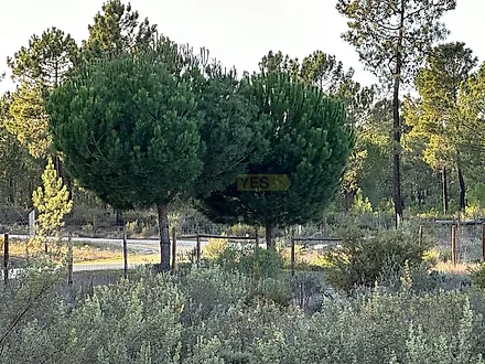 Land for sale in Grândola, Portugal — €2,950,000
