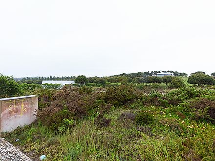 Land for sale in Óbidos, Portugal — €180,000