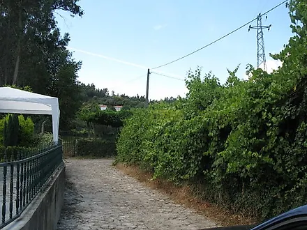 image-nKiA3ou51C-0