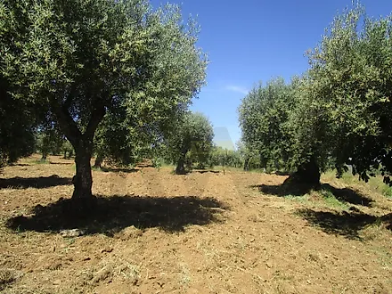 image-93aEbswBFGH-0