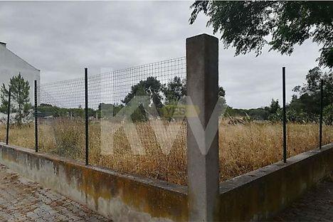 image-CnB4J4uaRvR-0