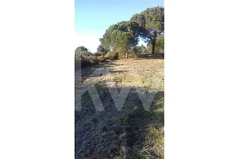 image-KvTQDxsiLab-0