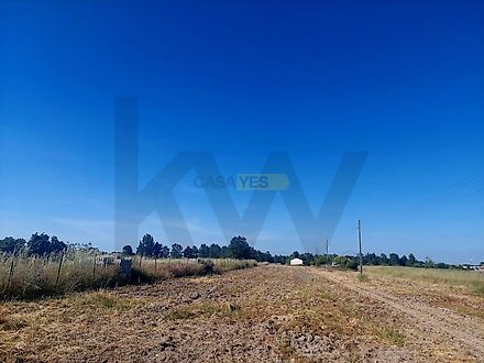 Land for sale in Salvaterra de Magos, Portugal — €60,000
