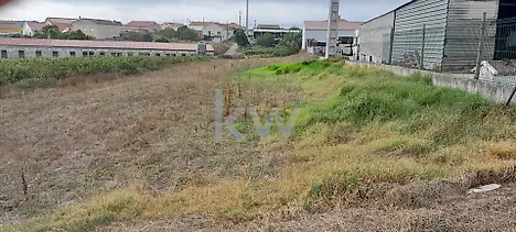 image-1xQphvf561f-0