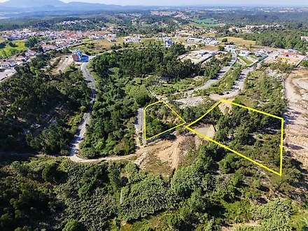 image-CgAXGiWygtr-0