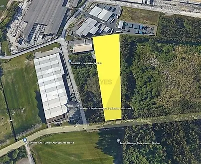 image-6eC2WySkIft-0