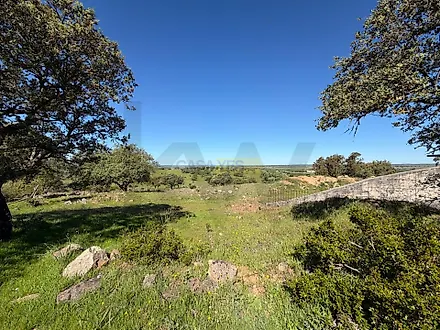 image-LUlnARqHtzY-0