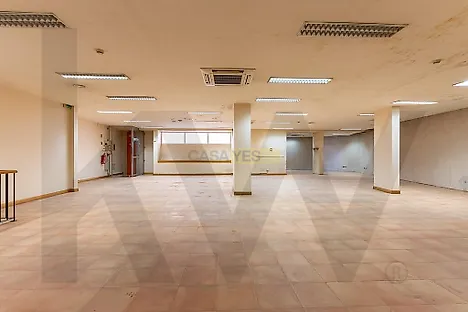 image-63KMjiUwpV9-0
