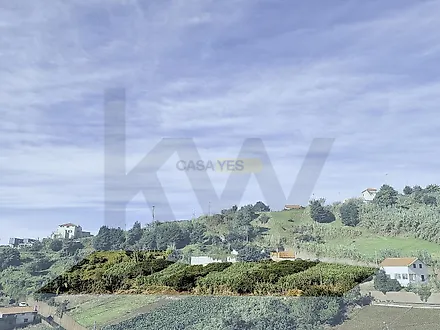 image-AwxPCeRTuxo-0