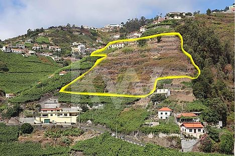 image-DLIUHZVQXJI-0