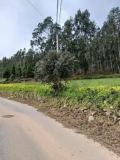 image-2XxIso28CMF-0